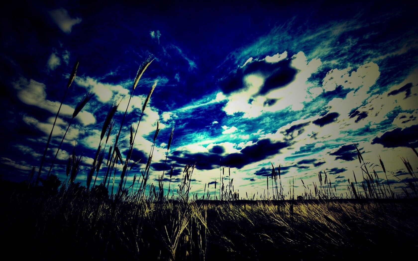 HDR Поле обои