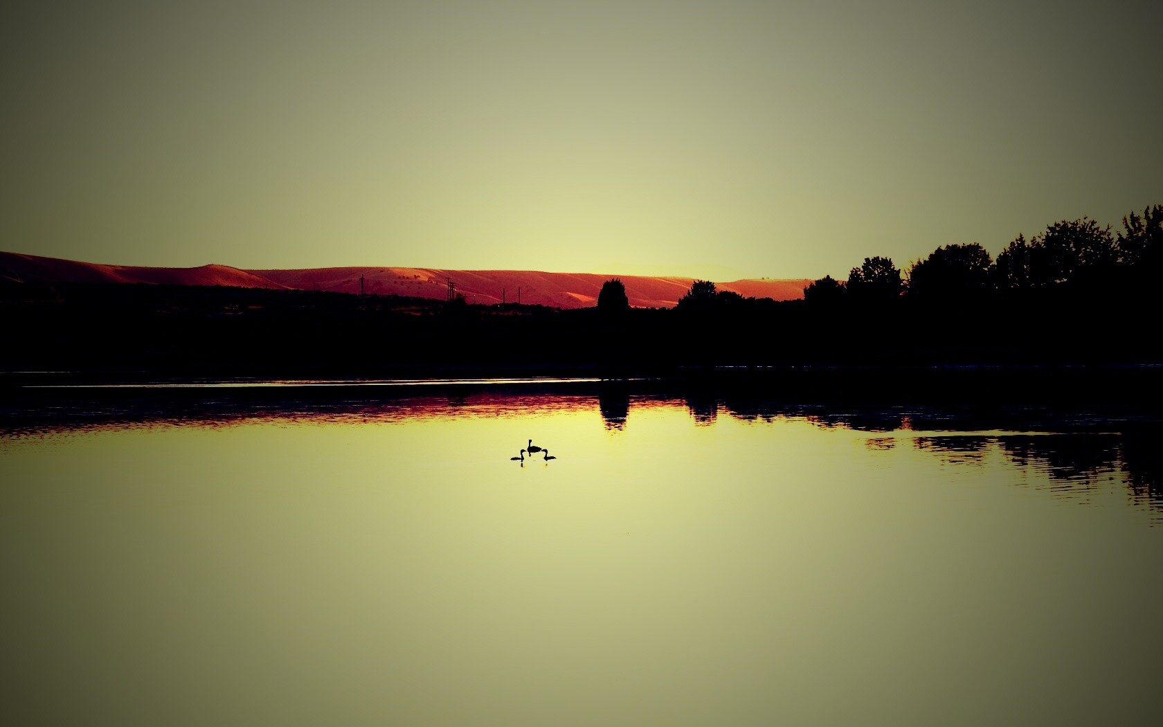 Утиное озеро обои