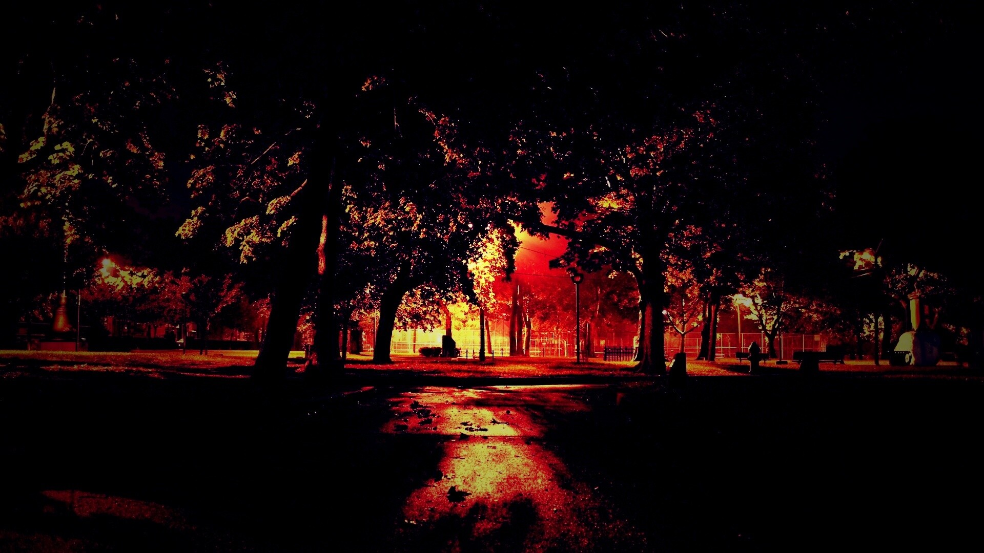 Ночной парк обои