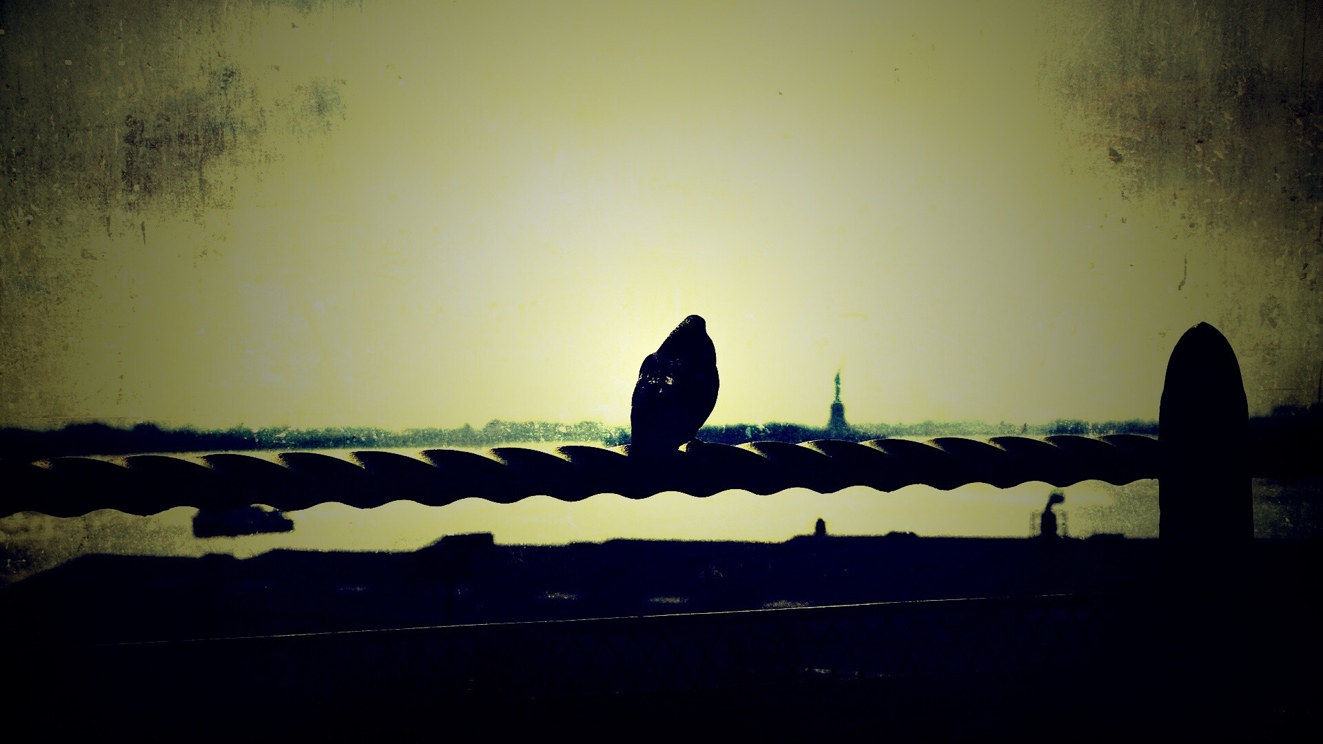 Голубь в Нью-Йоркских доках обои