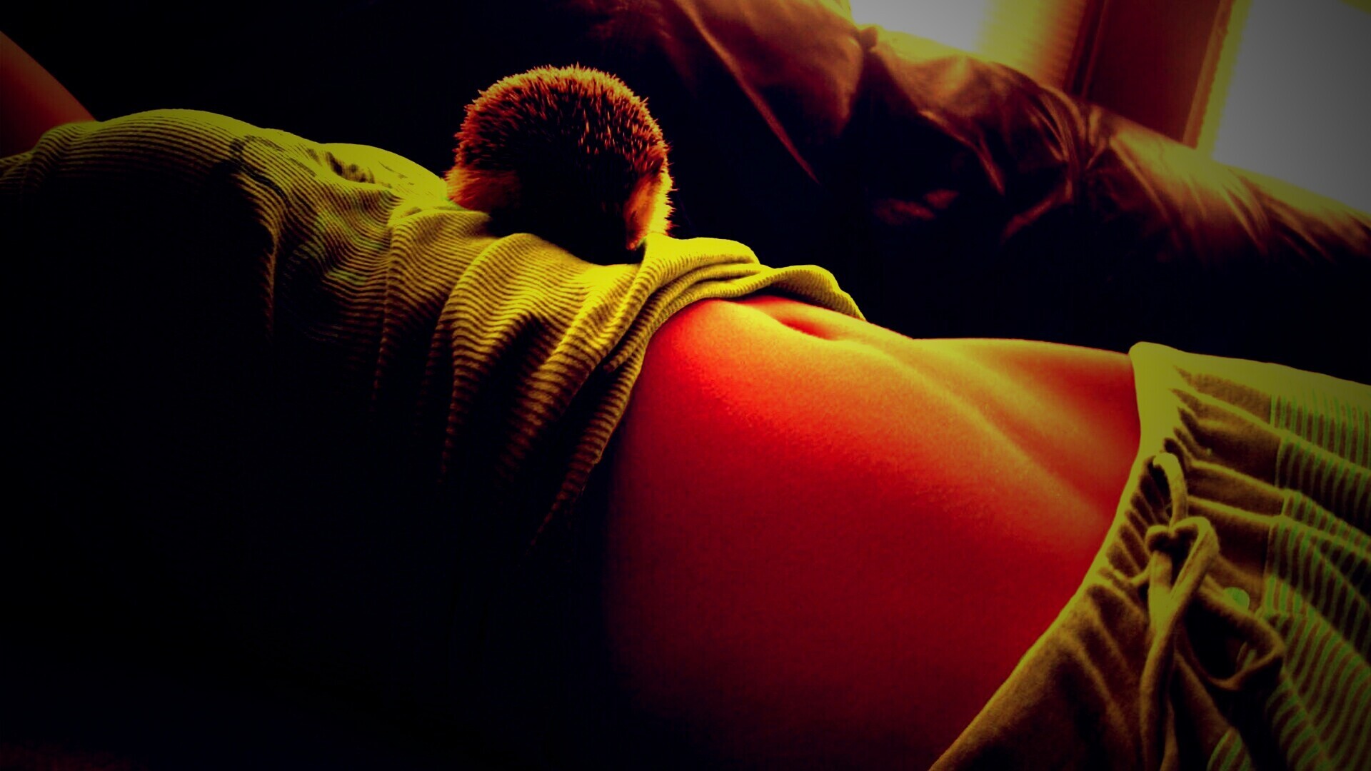 Девушка и ёжик обои