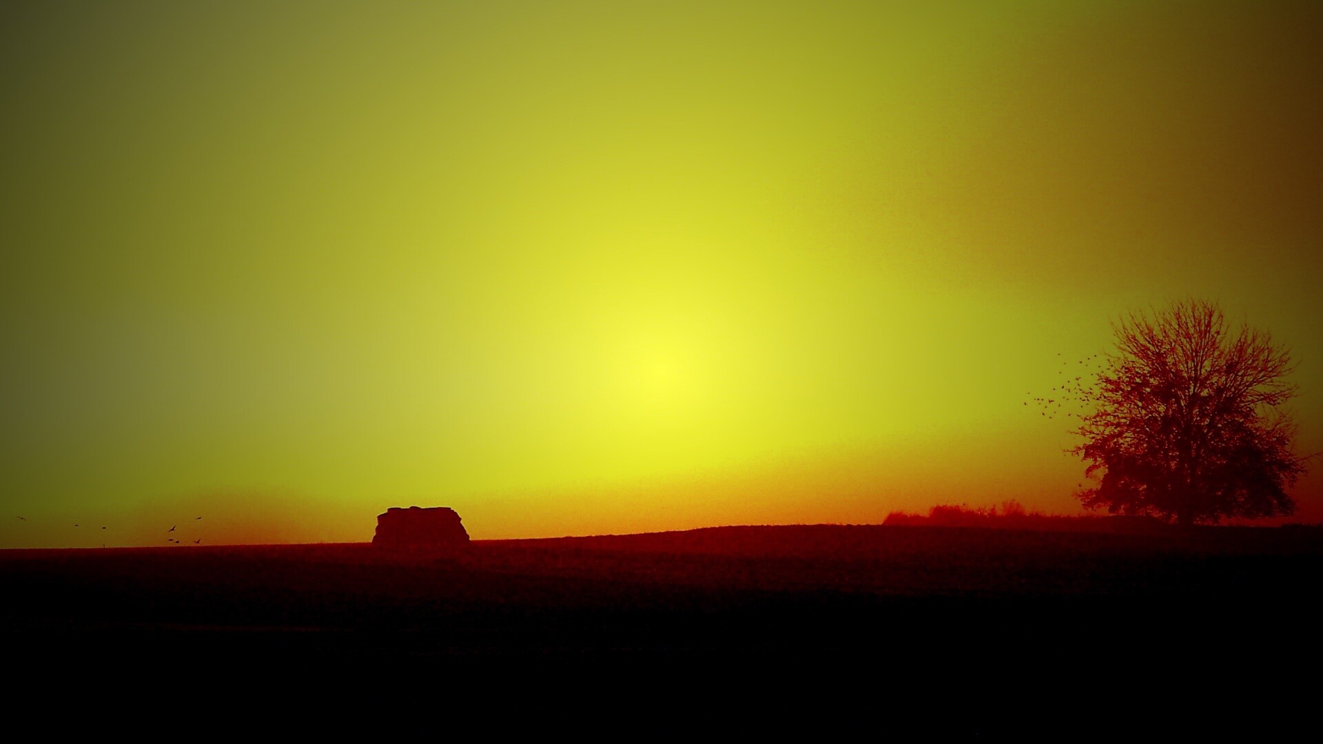 Убранное поле обои