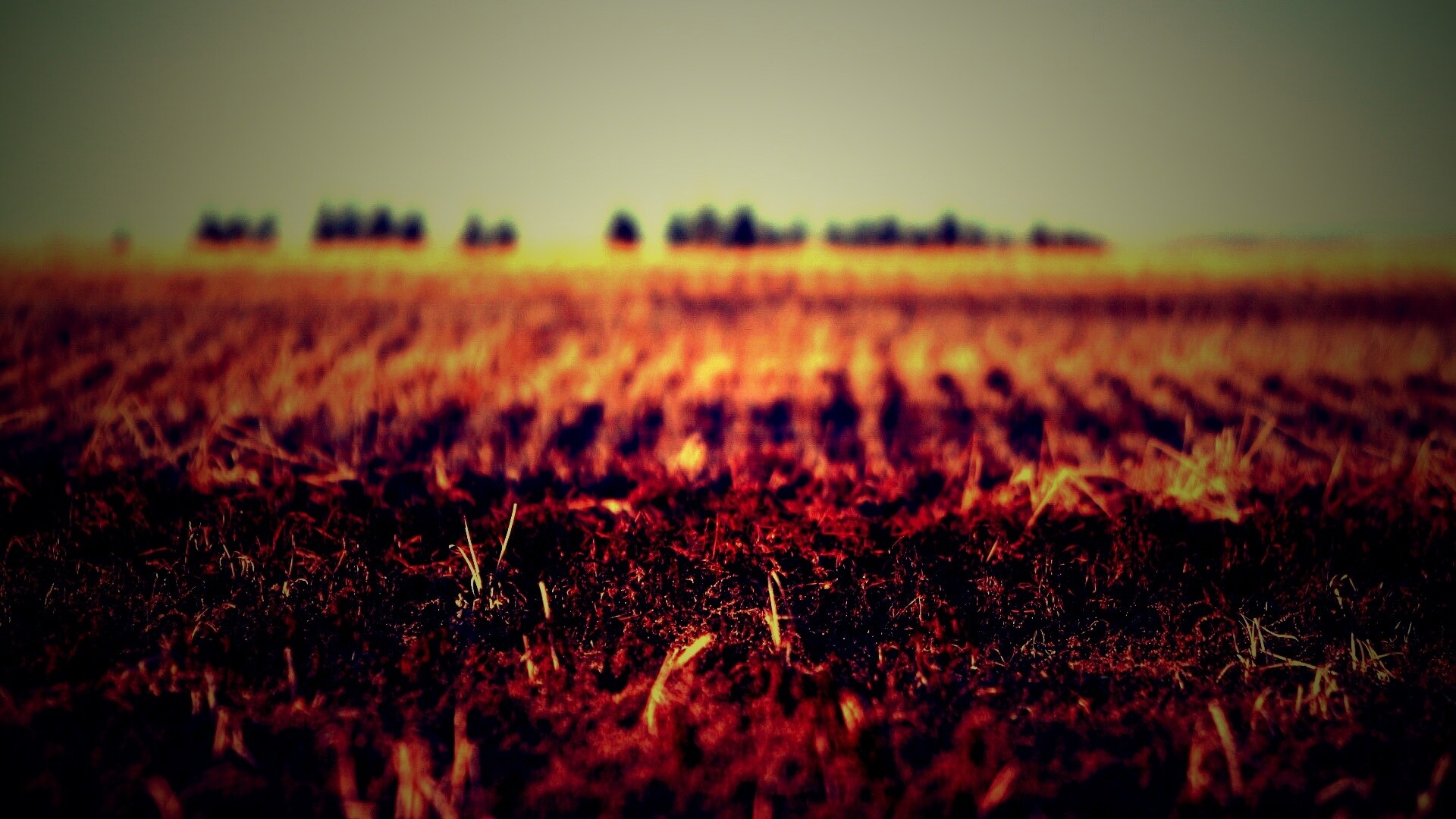 Поле перед вспашкой обои