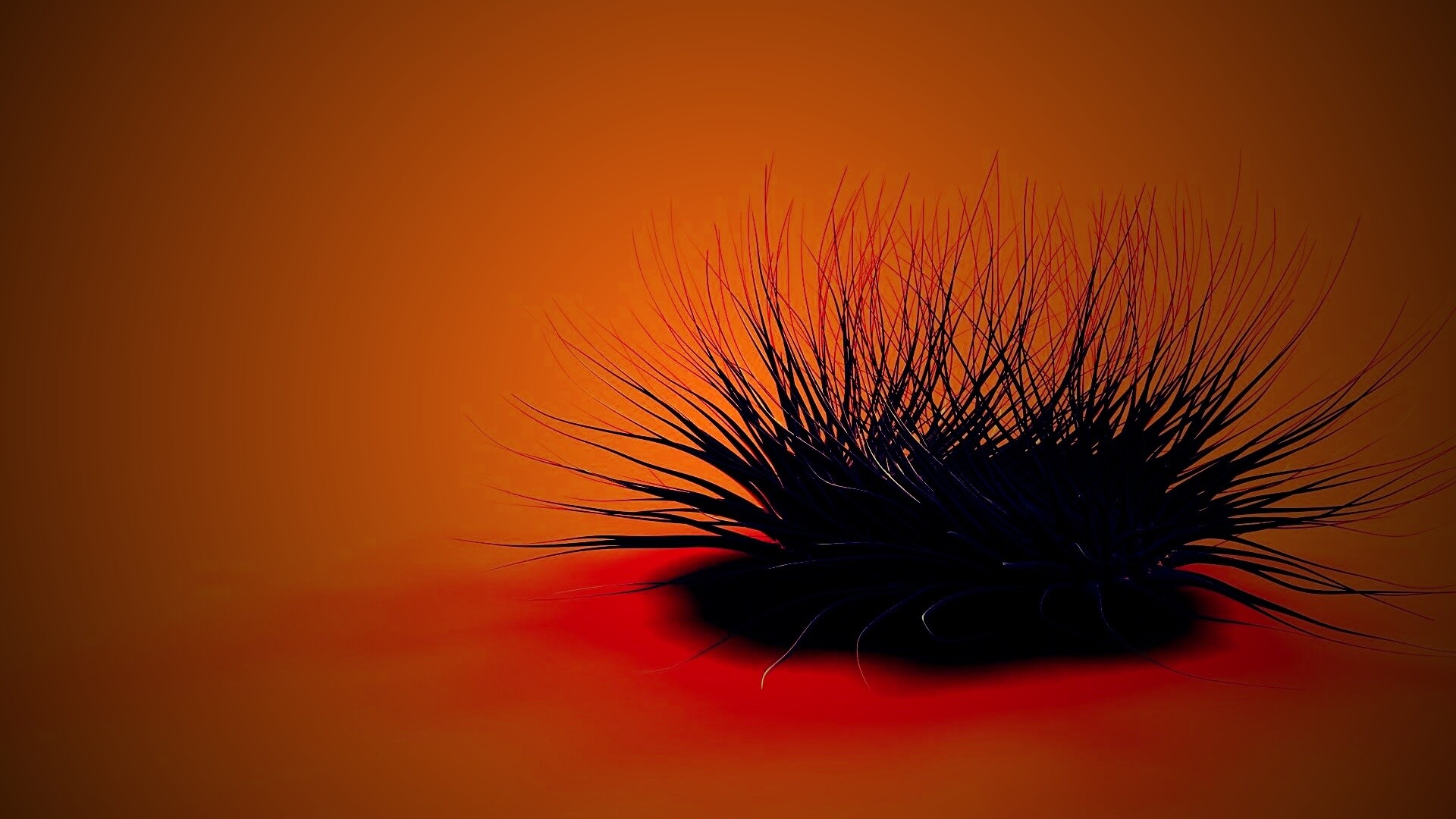 Волосатая мочалка обои