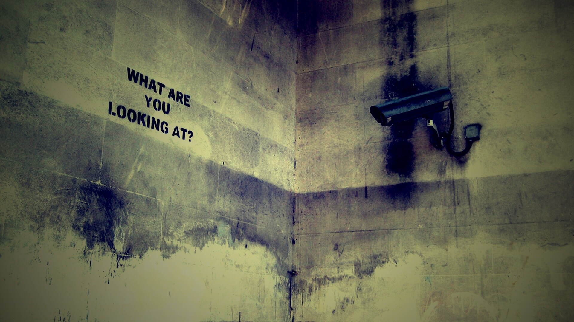 На что ты смотришь? обои