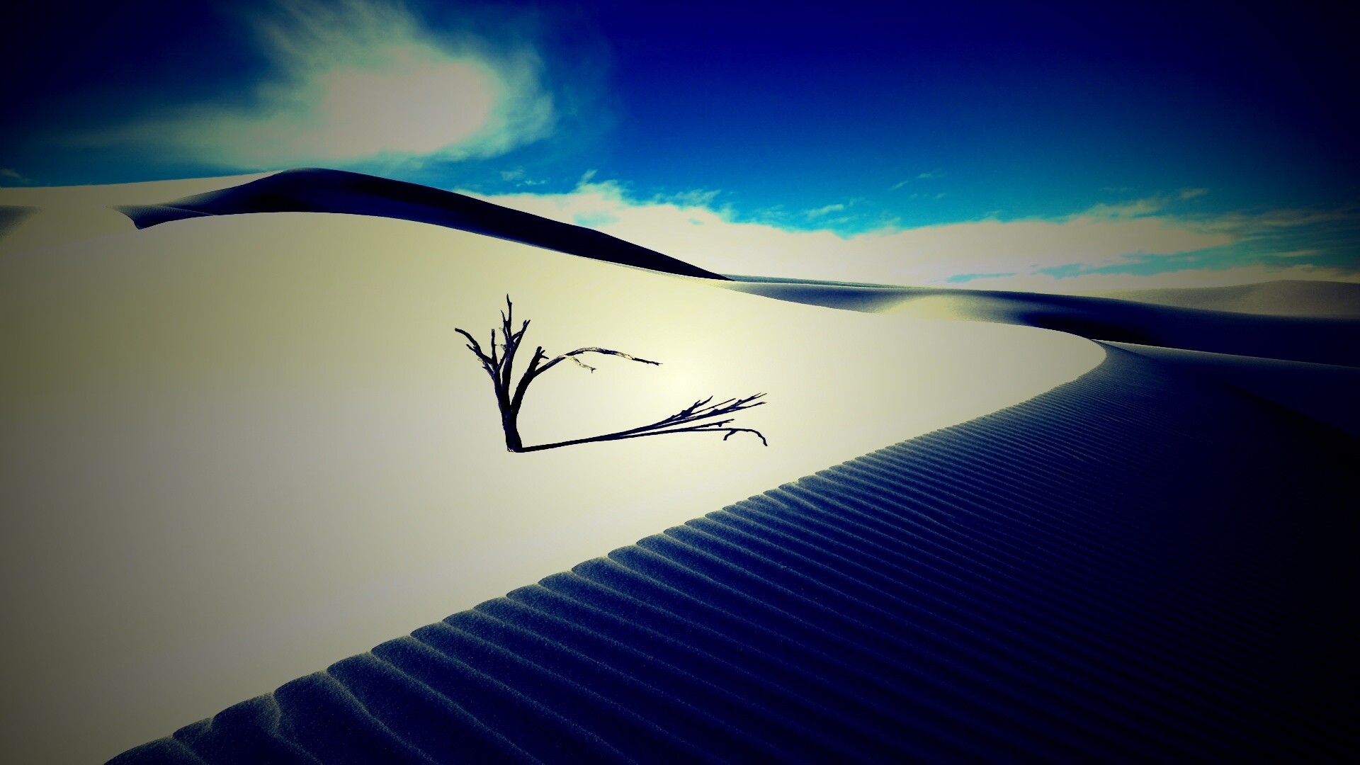 Сухостой в пустыне обои