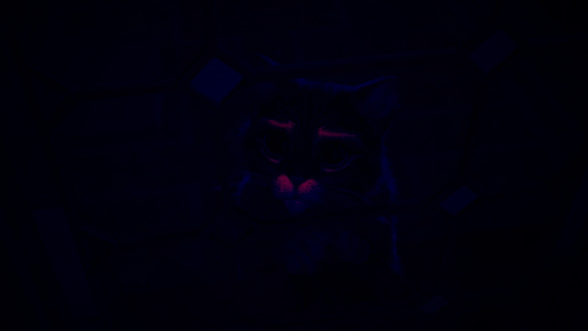 Кот в сапогах обои