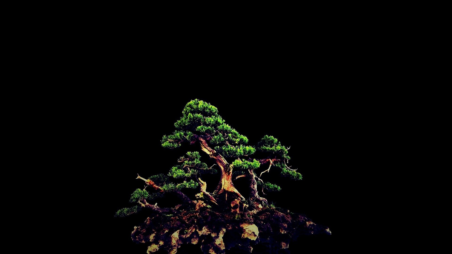 Миниатюрное дерево обои