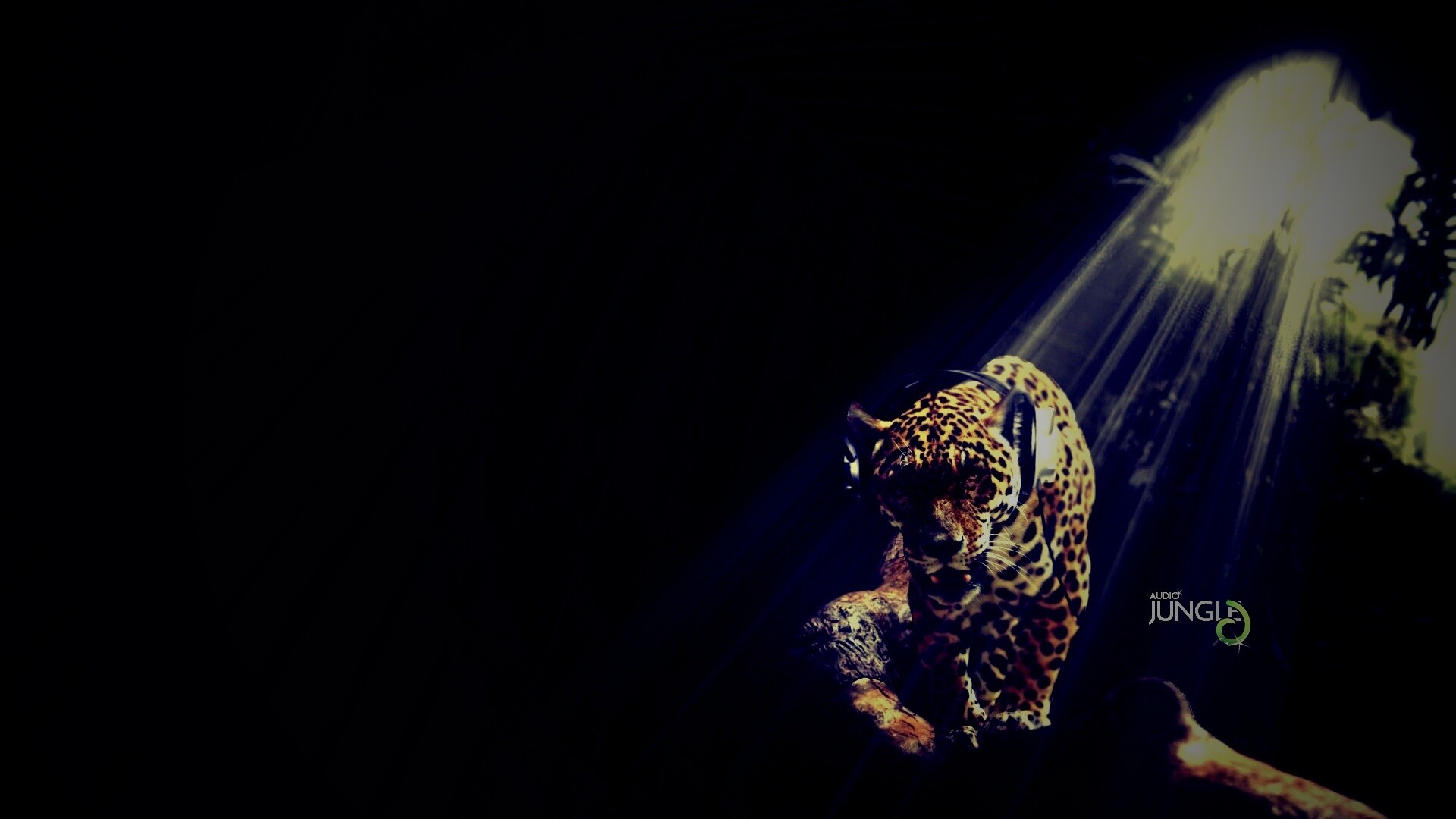 Ягуар в наушниках обои