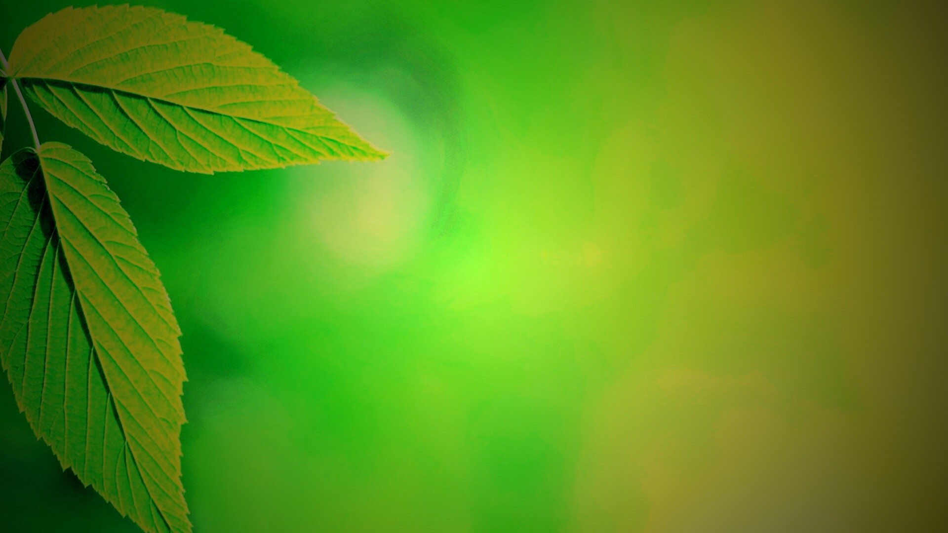 Два листа обои