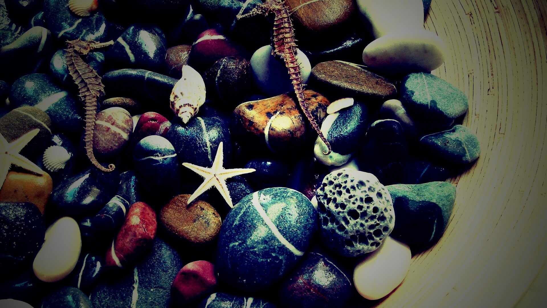 Морские камешки и фауна обои