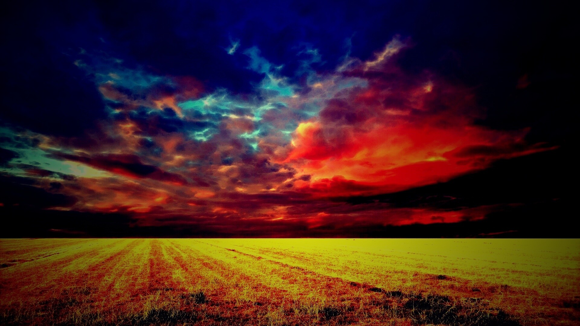 Тучи над желтым полем обои