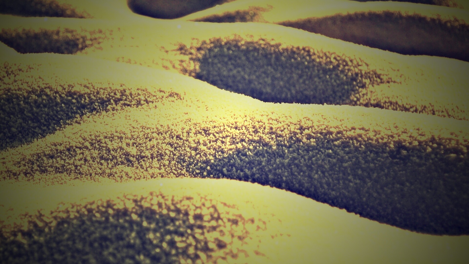 Песчаные бугры обои