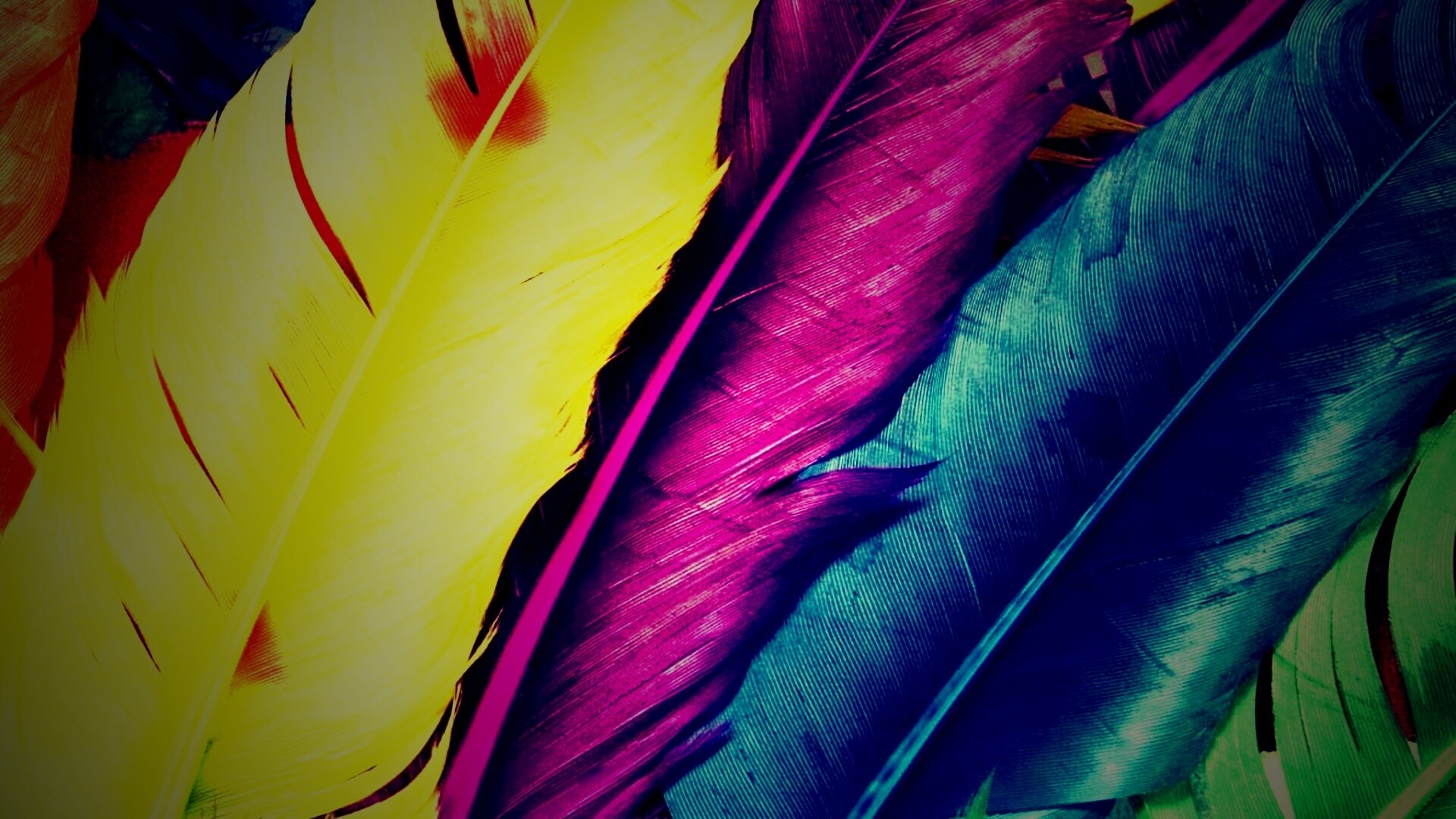 Разноцветные перья обои