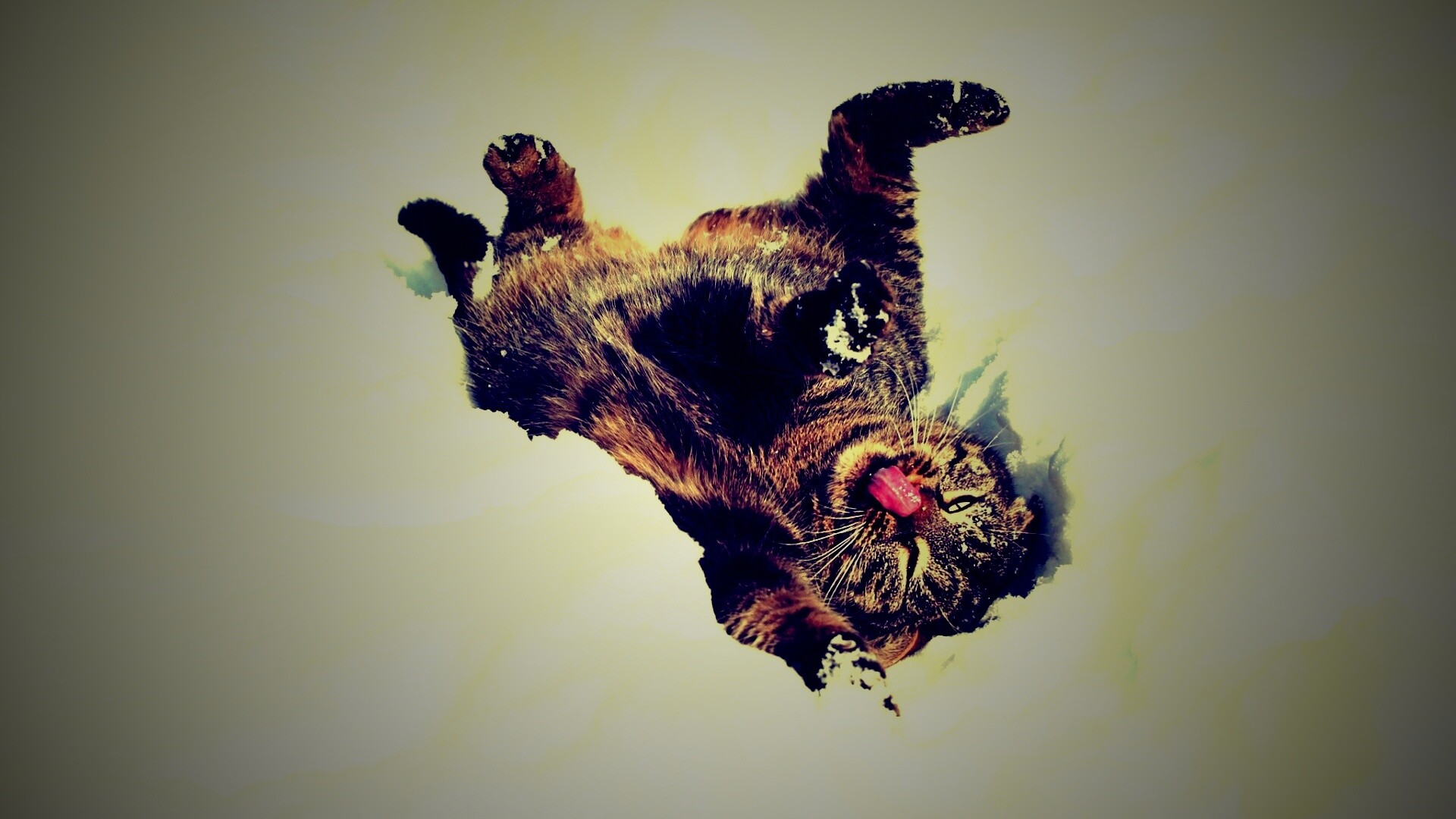 Кот валяется в снегу обои