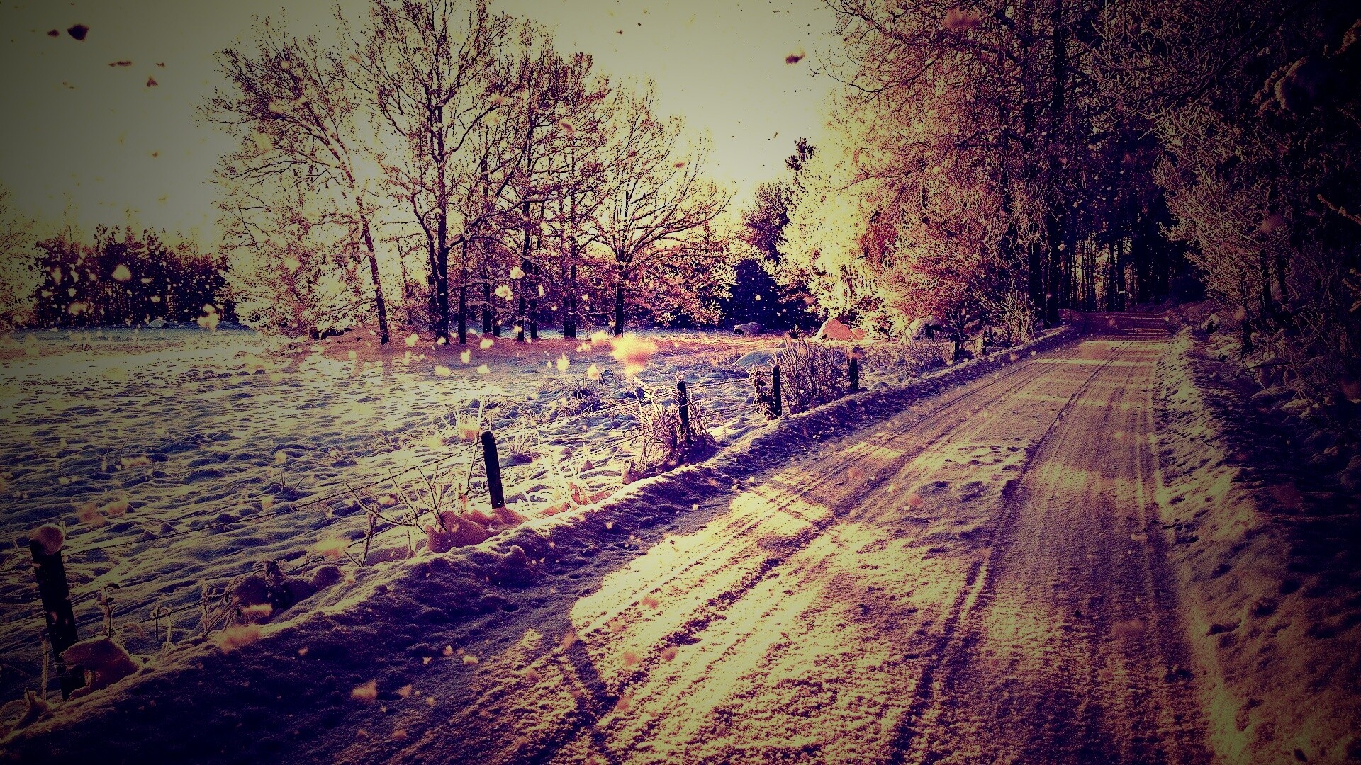 Снежная дорога залитая солнцем обои