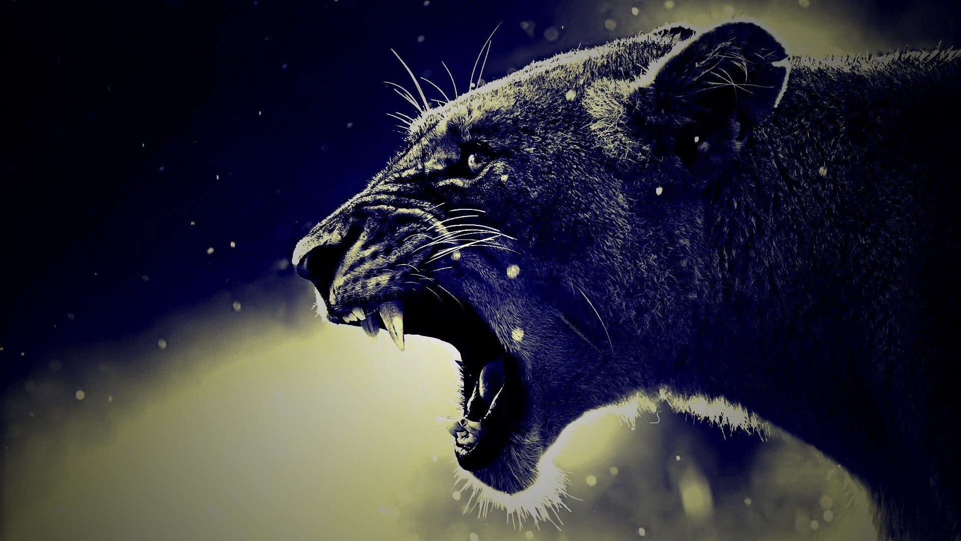 Грозный львиный рык обои