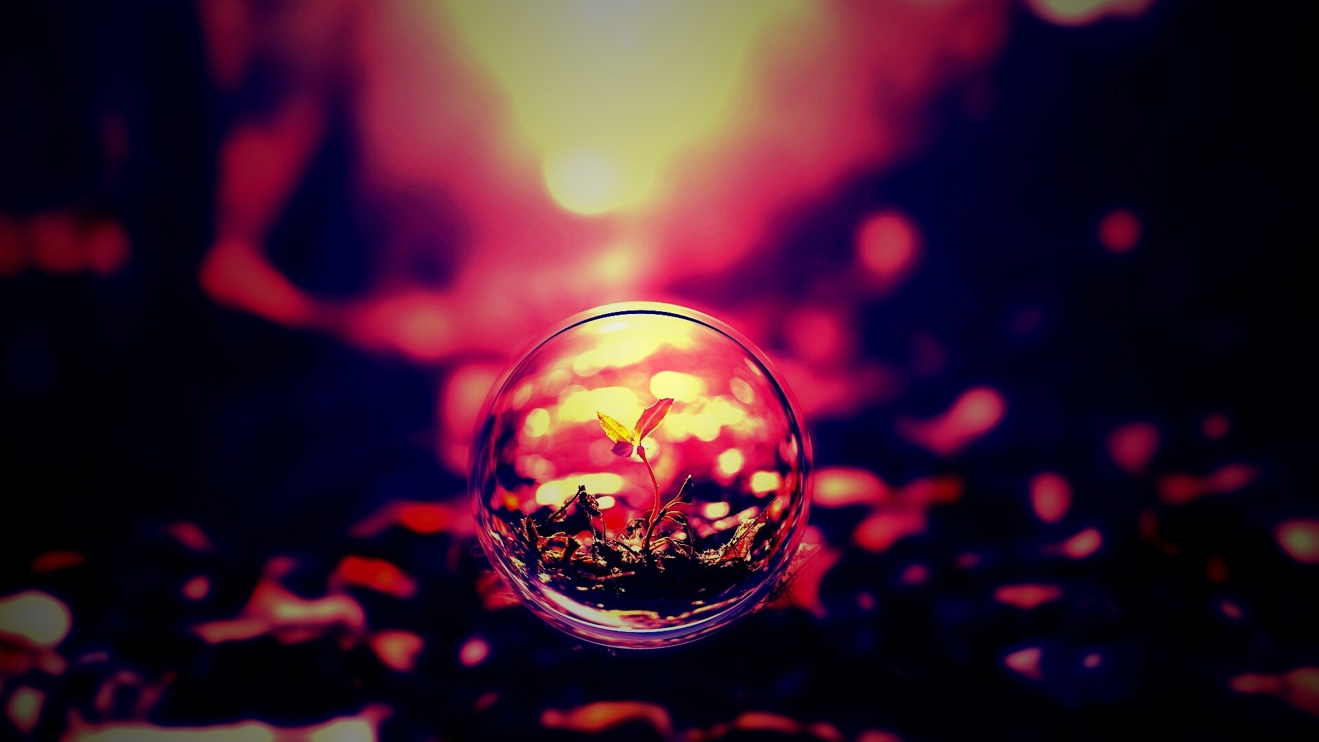 Росток в пузыре обои