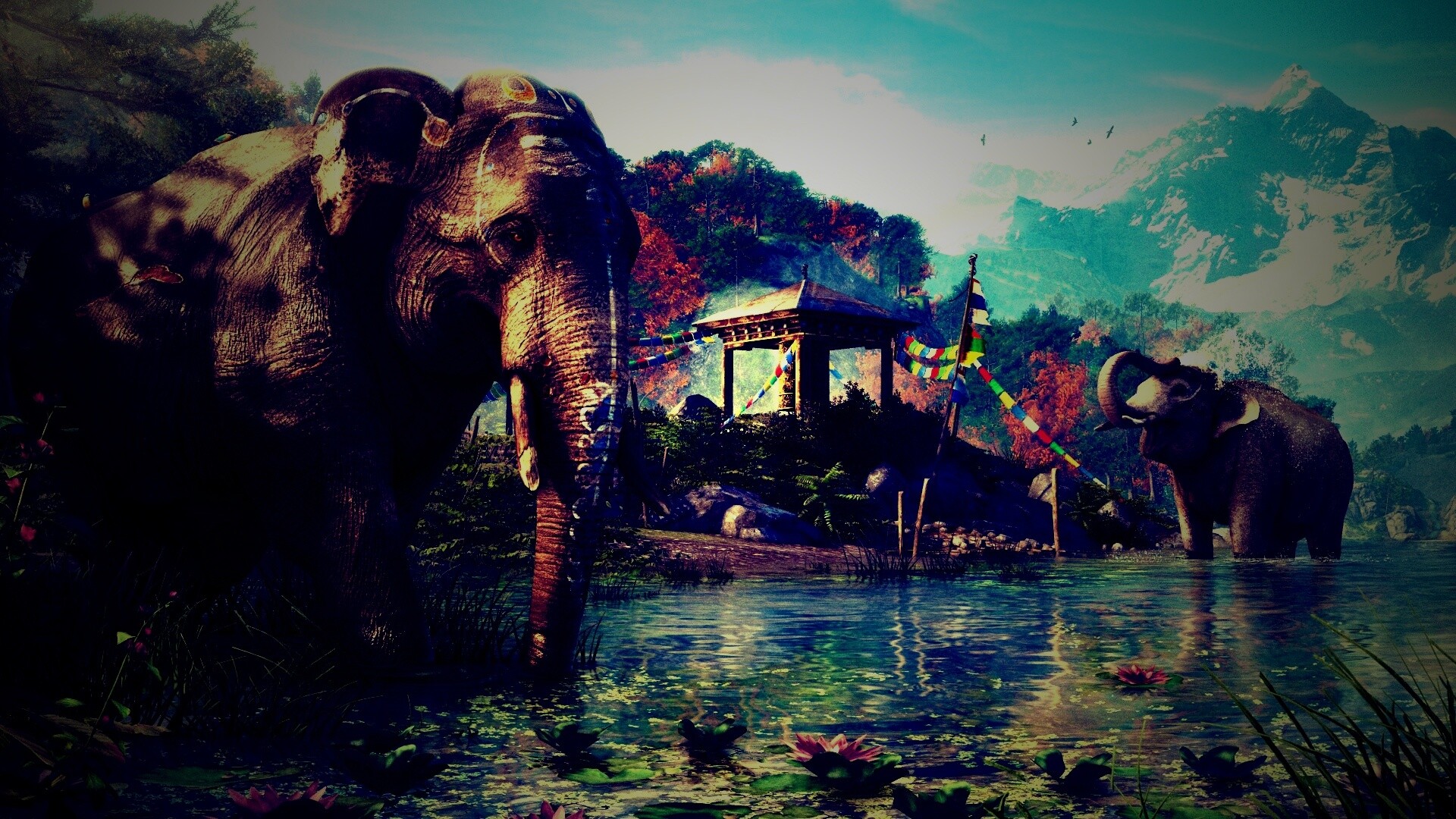 Слоники у воды обои