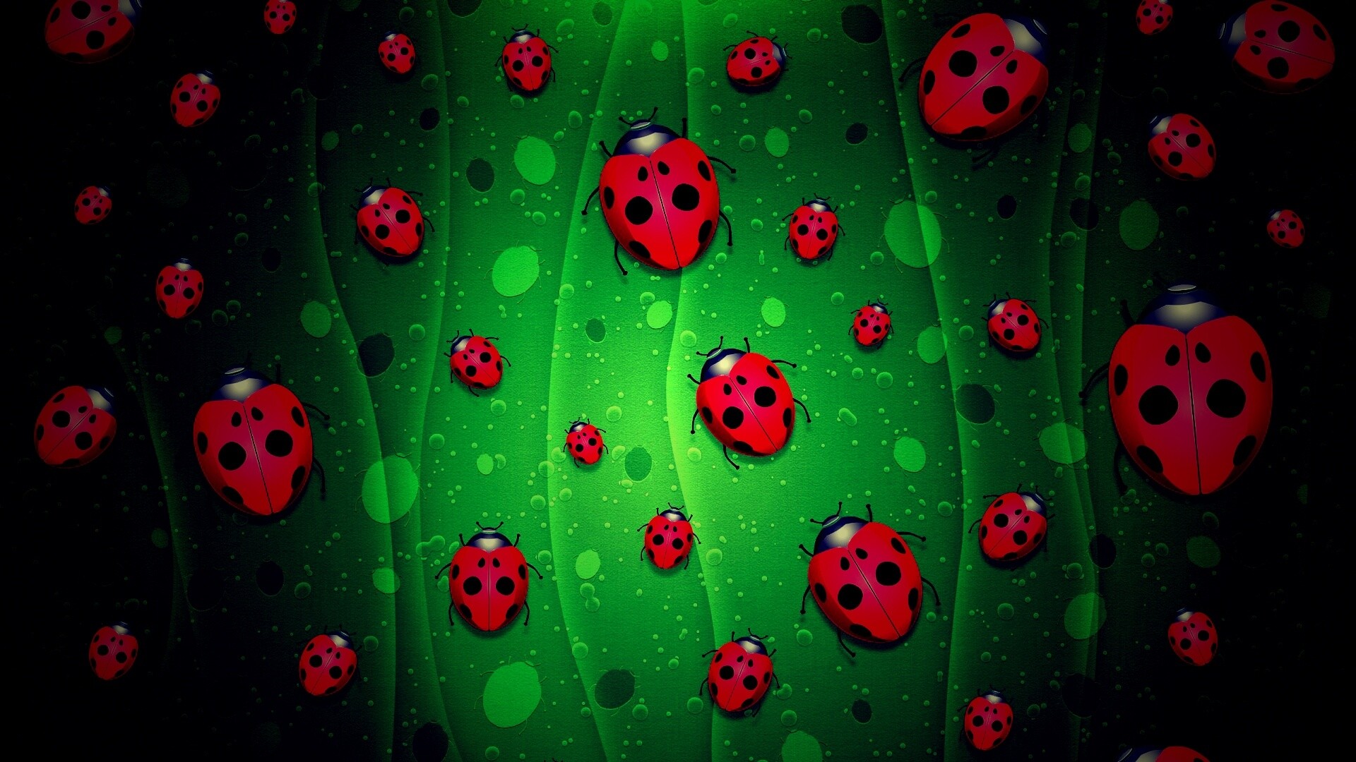 Божьи коровки обои