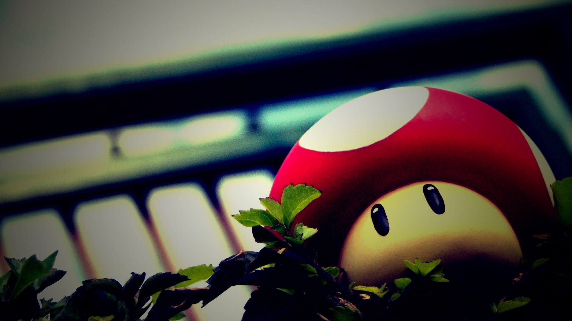 Гриб из Марио обои