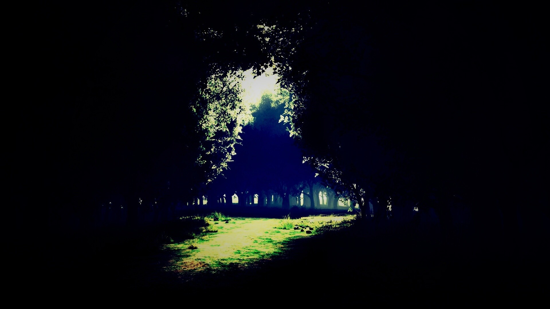 Сумерки в волшебном лесу обои