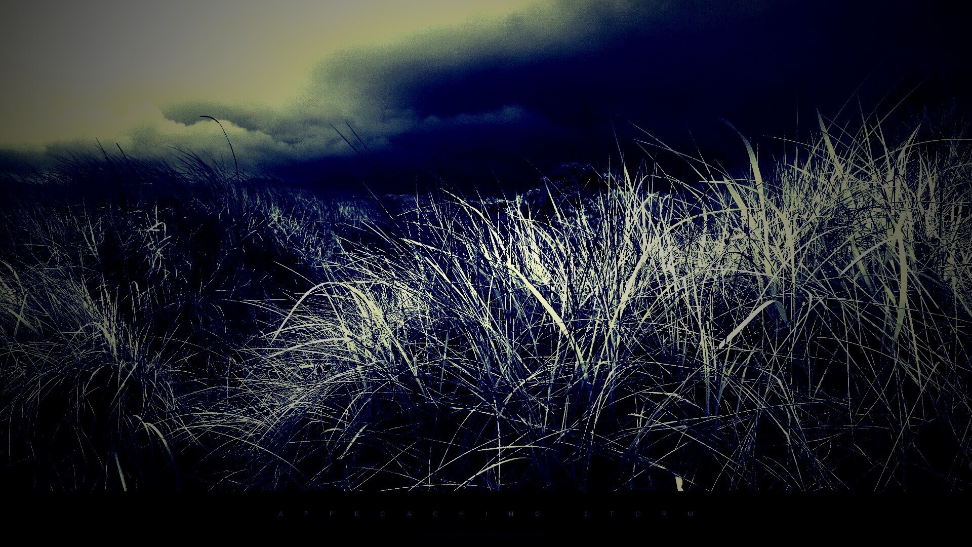 В ожидании шторма обои