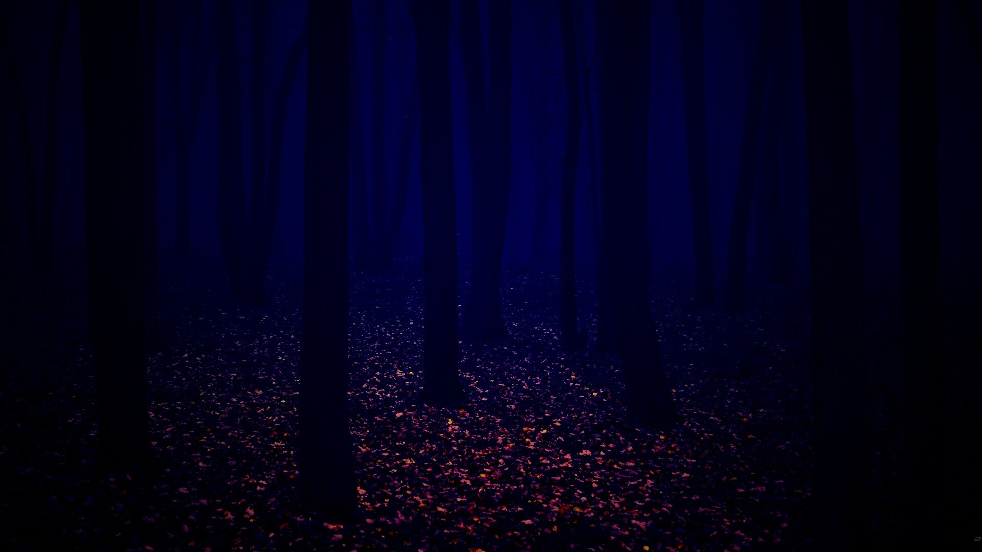 Таинственный лес обои