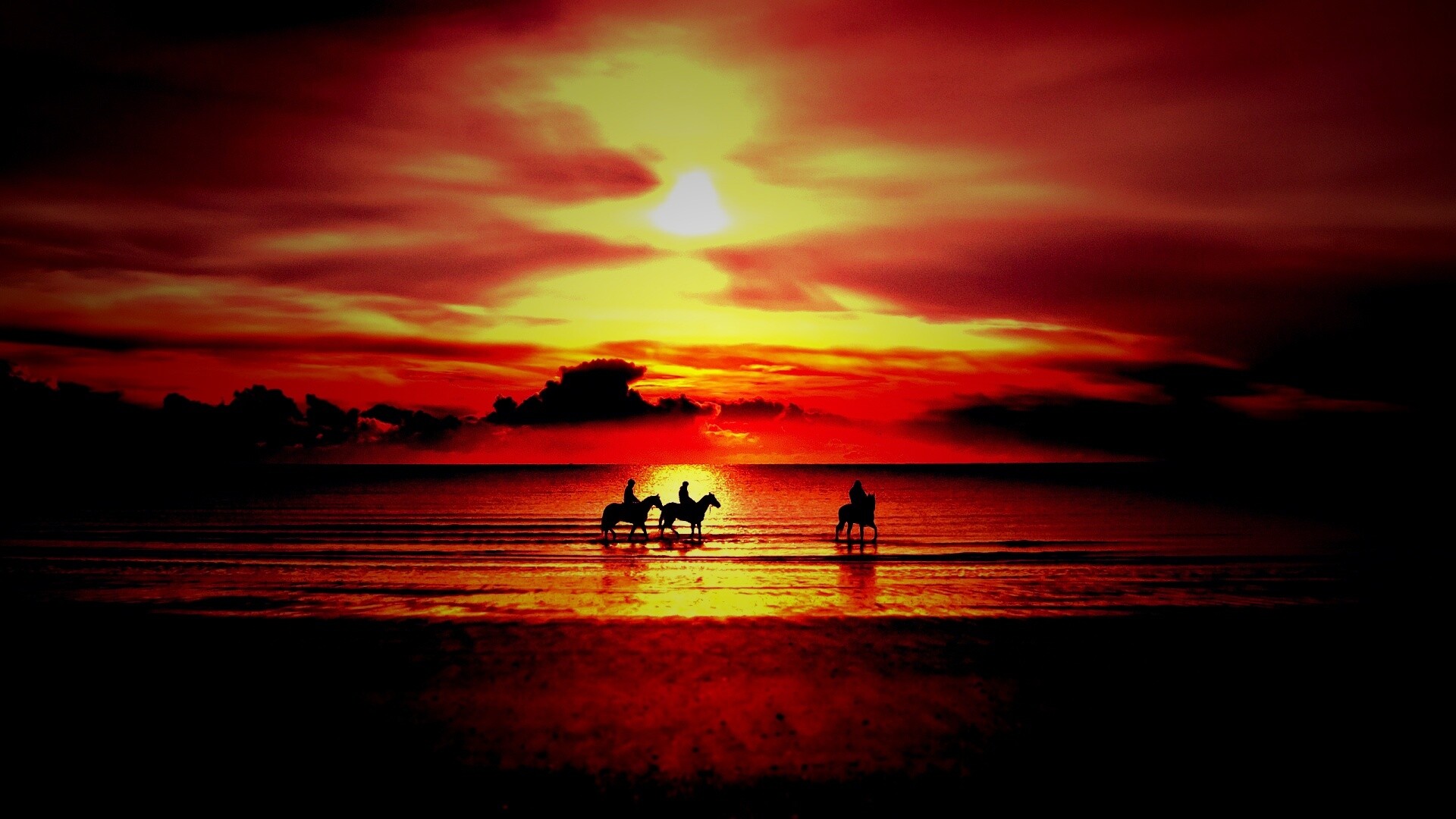 Наездники на закате обои