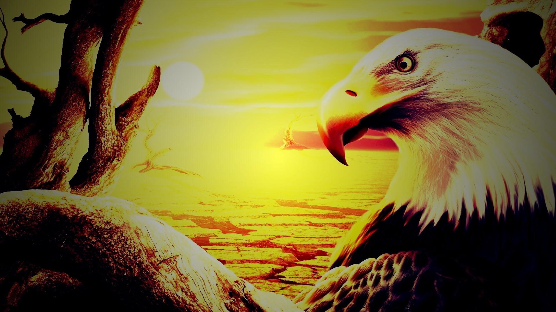 Нарисованный орел обои