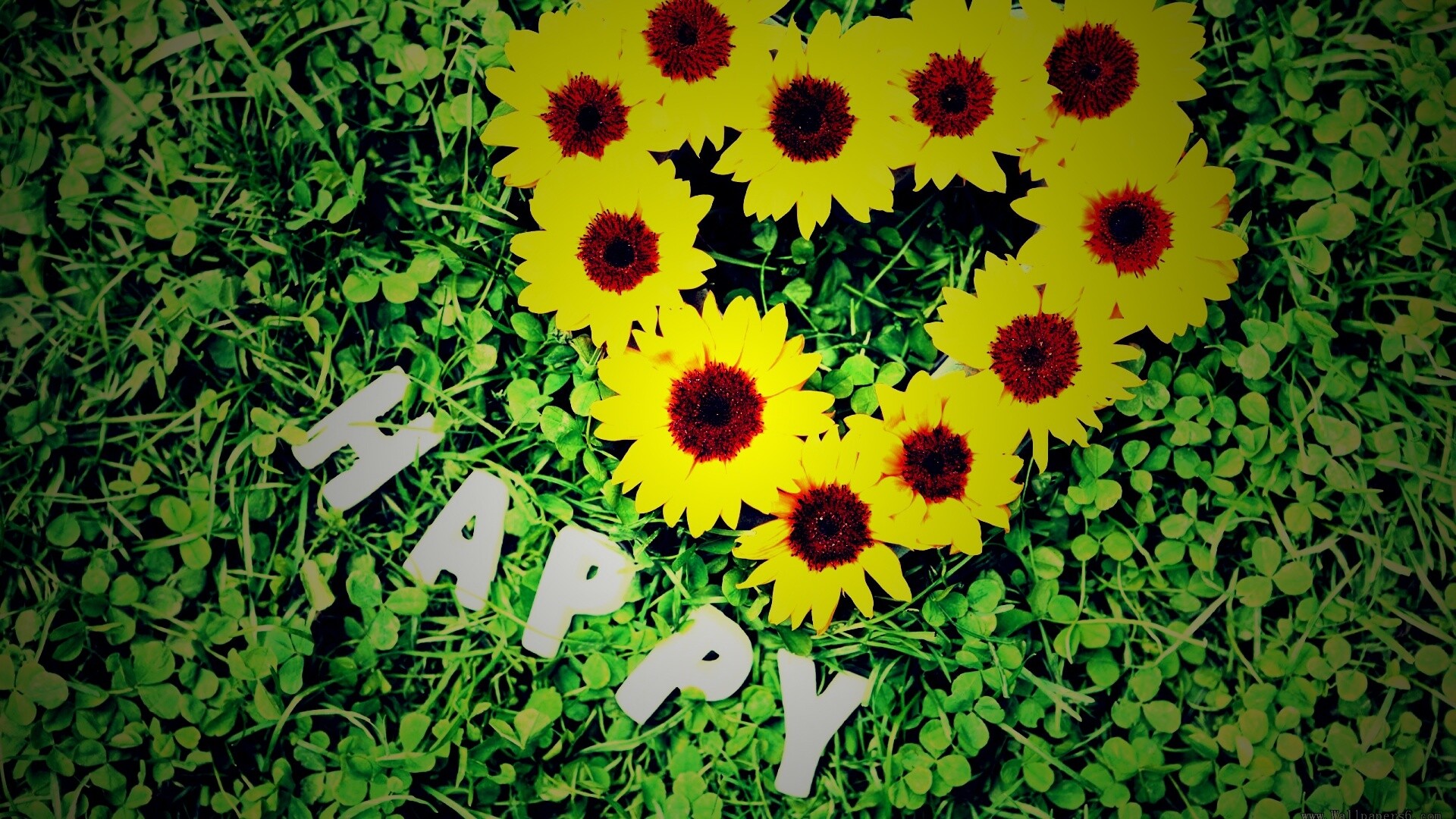 Радость обои