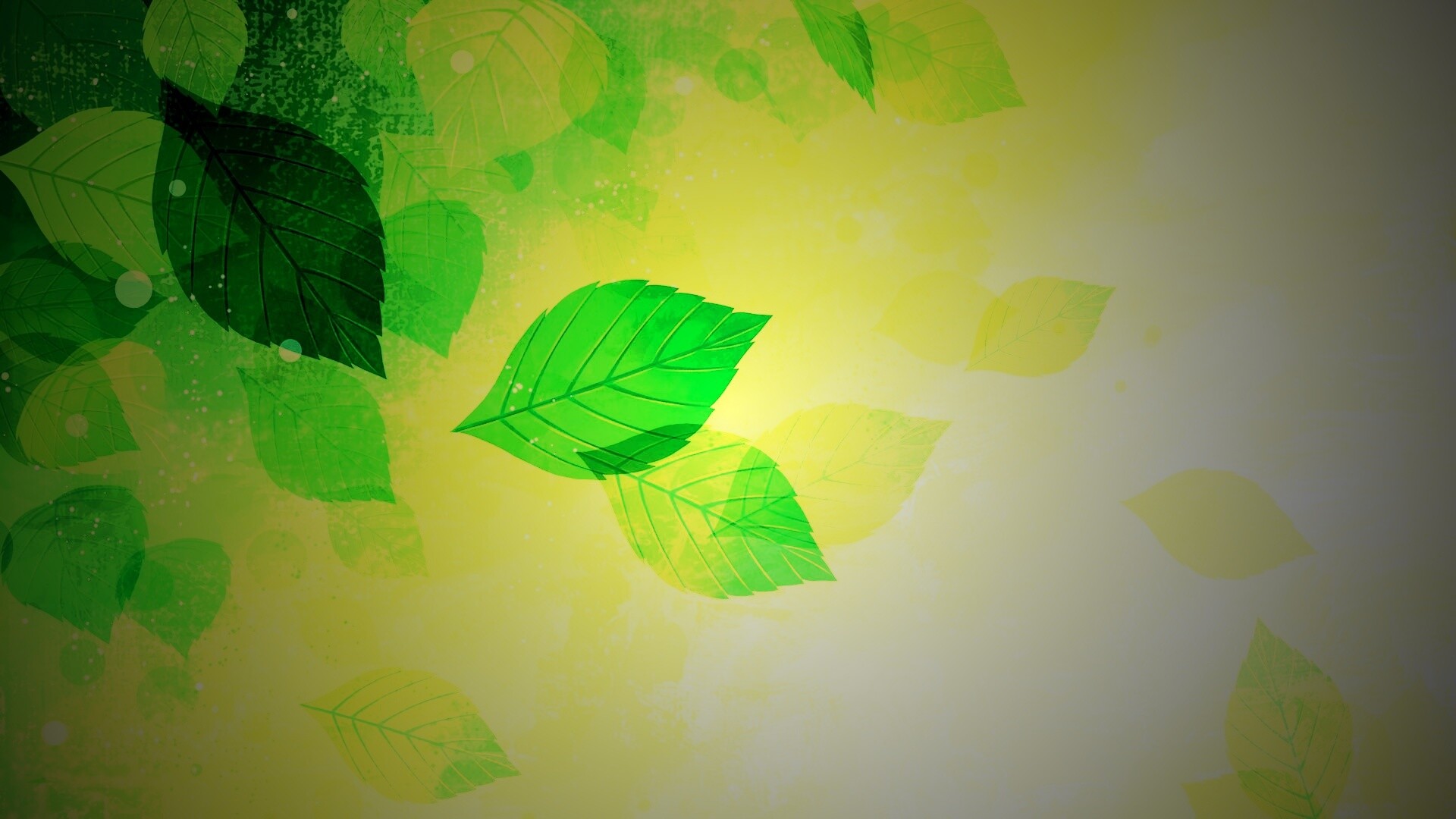 Прозрачные листья обои