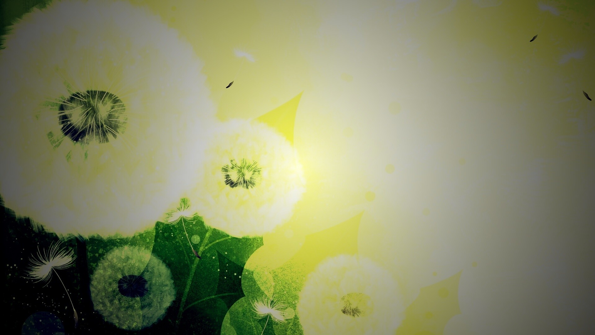 Одуванчики обои