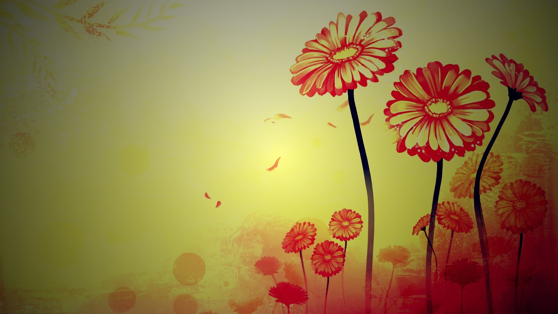 Векторные ромашки обои