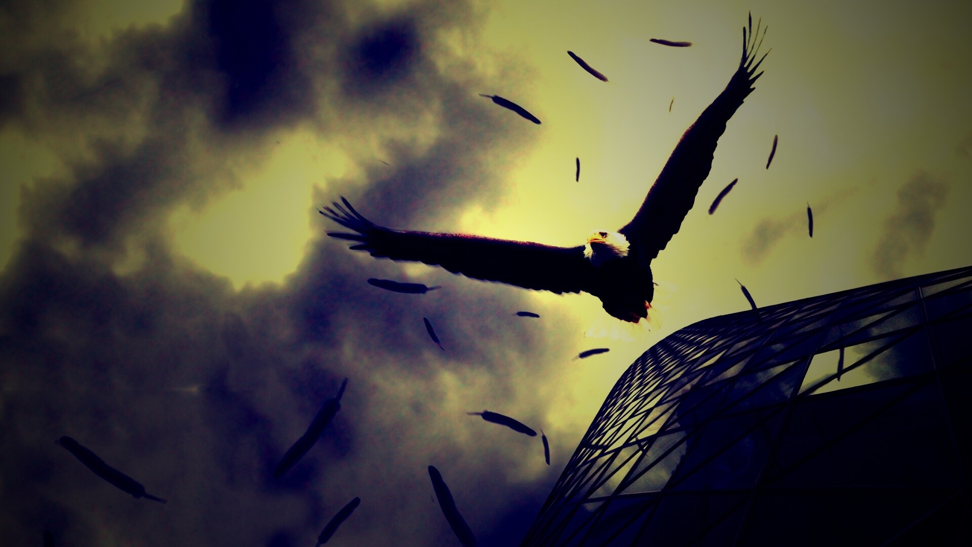 Орлиный полет обои