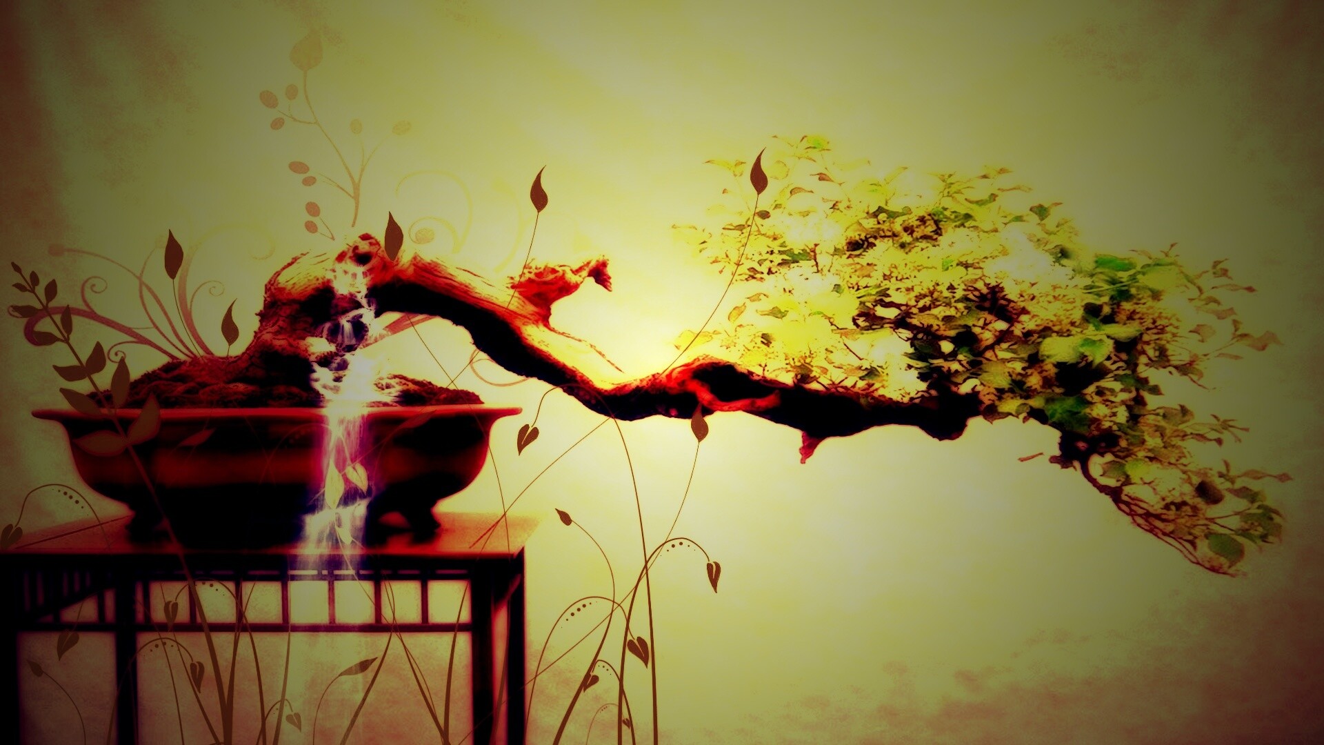 Карликовое дерево обои