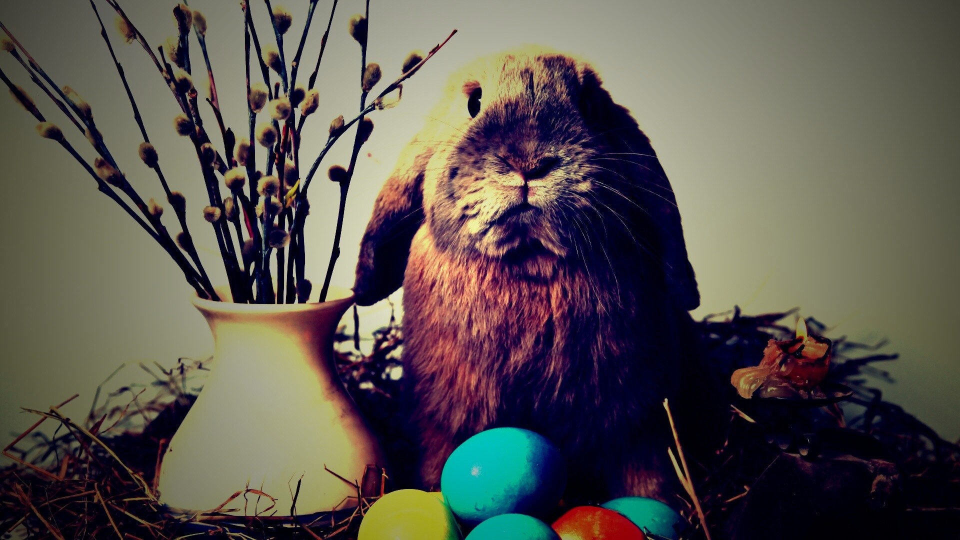 Пасхальный кролик обои