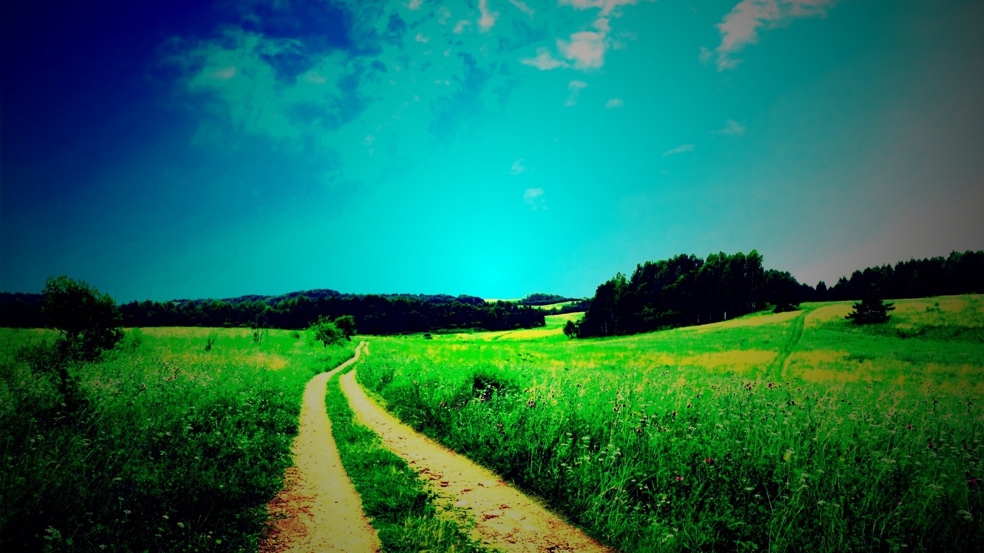 Дорога через луг обои