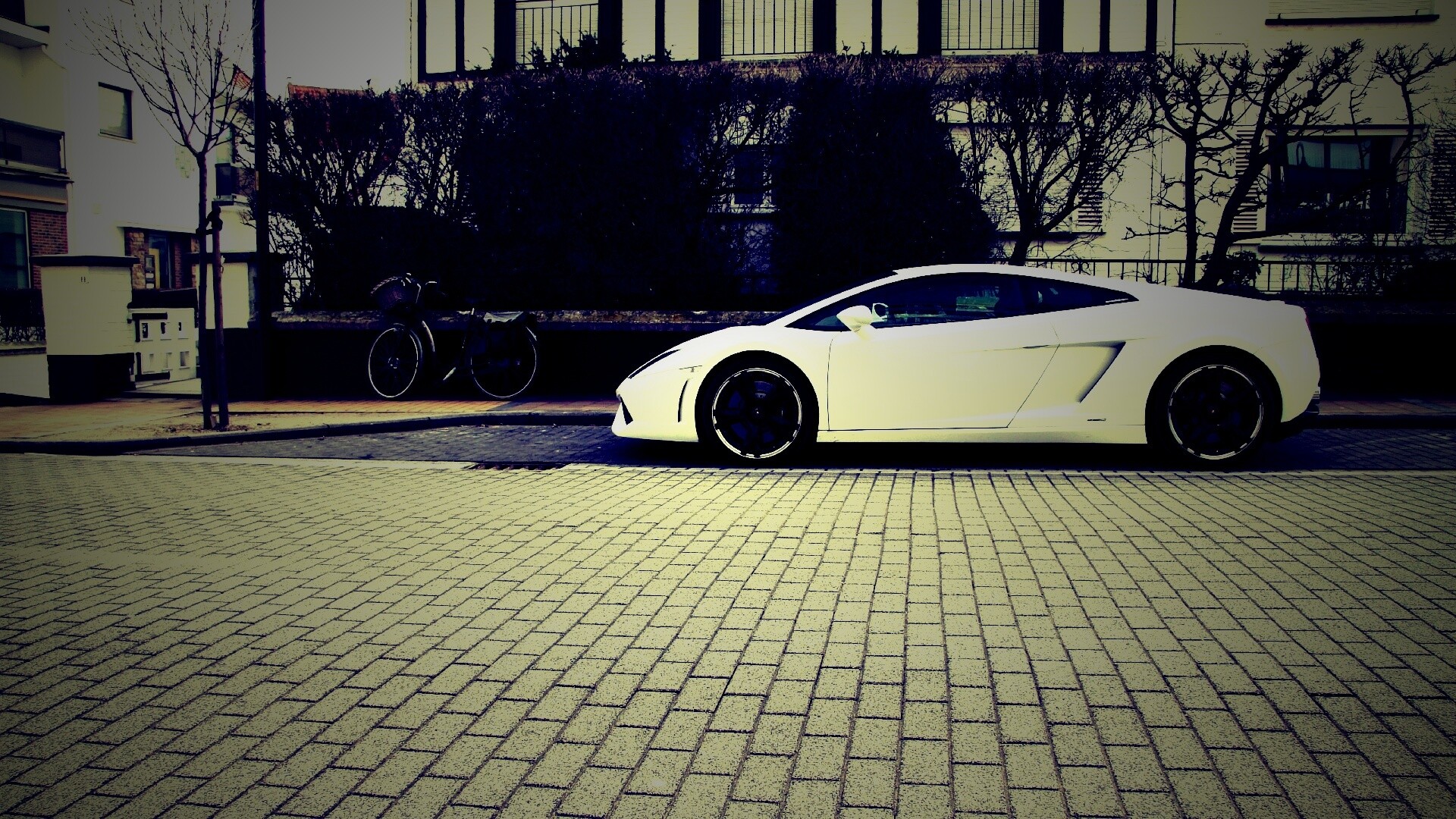 Белый Lamborghini обои