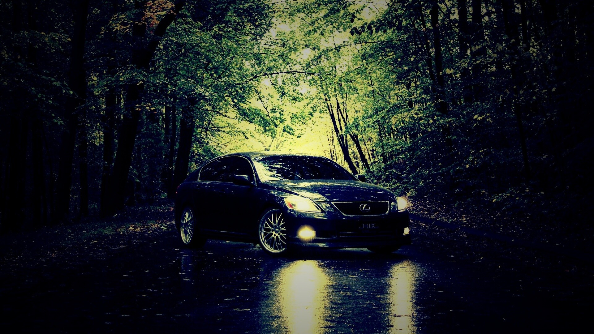 Лексус на лесной дороге обои