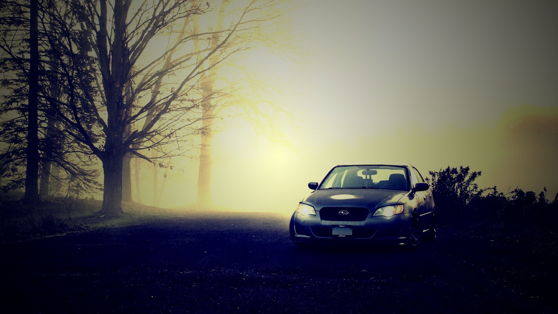 Лексус обои