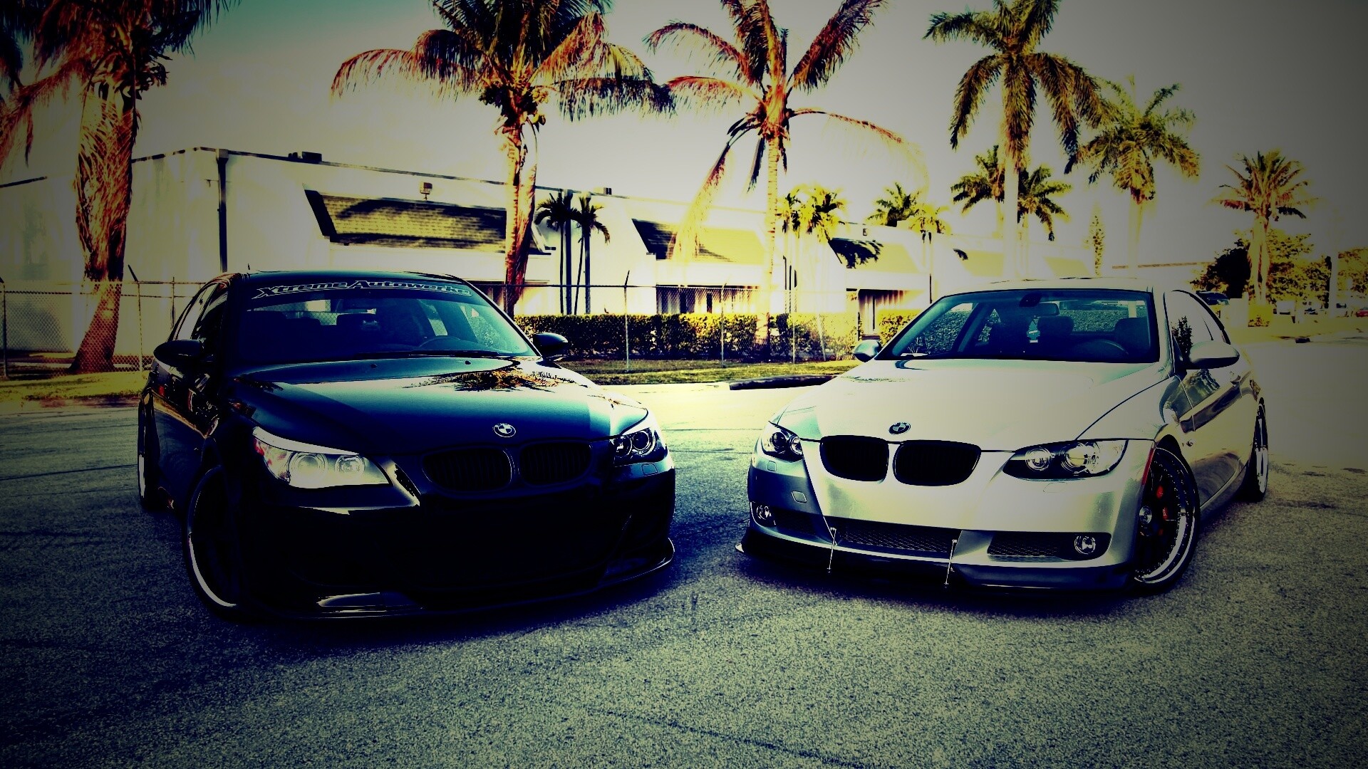 Две БМВ обои