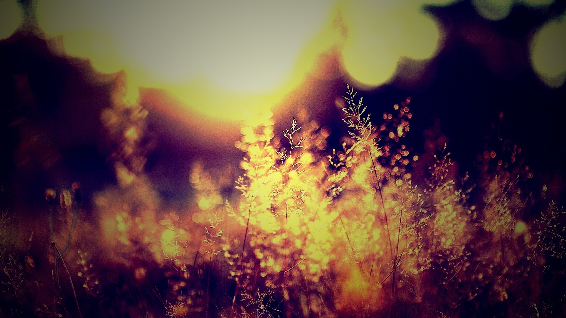 Посмотри на этот мир обои