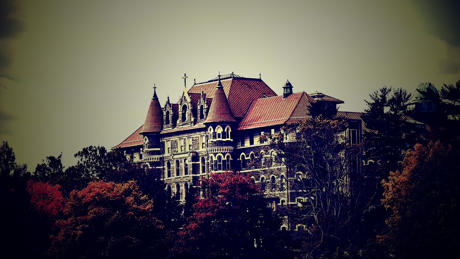 Колледж обои