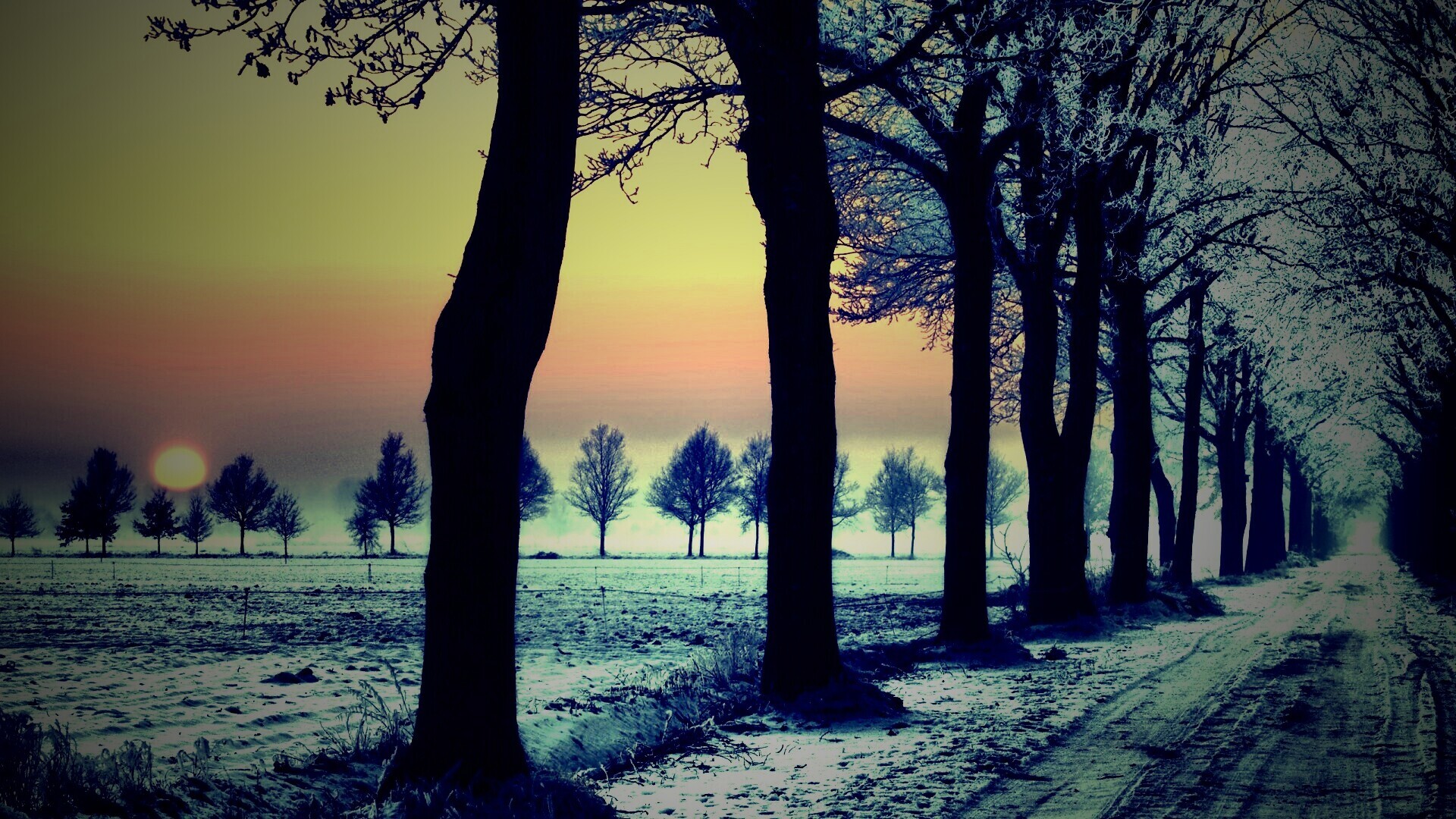 Морозное утро обои