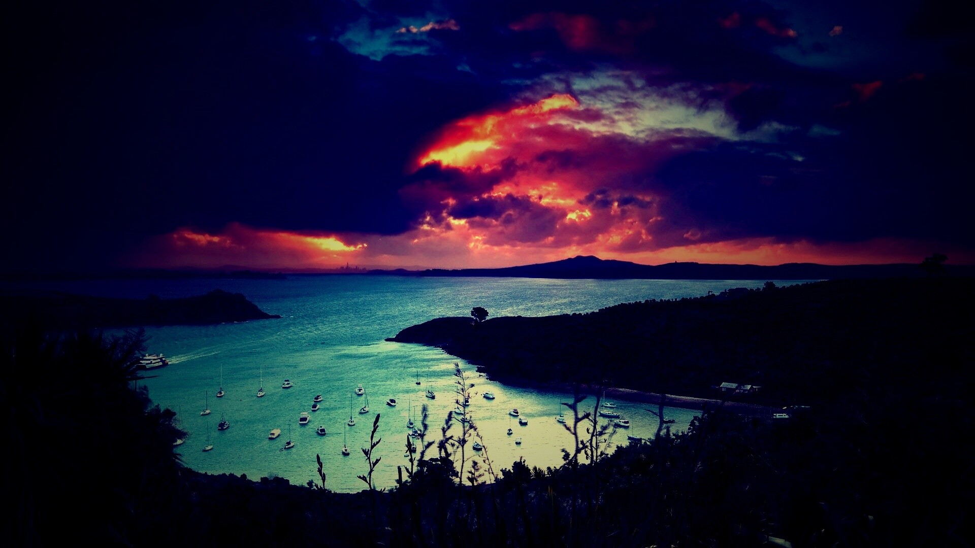 Waiheke Island, New Zealand обои