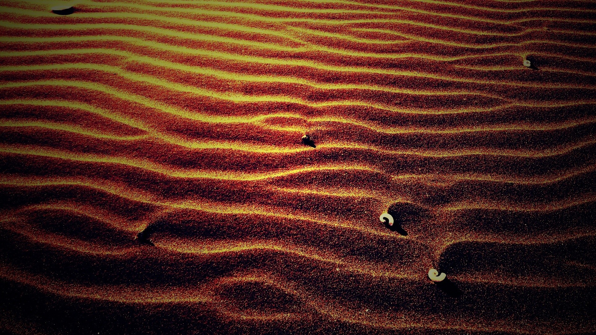 Песок и раковины обои