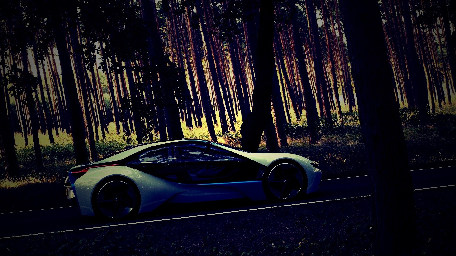 Спорткар BMW на лесной дороге обои