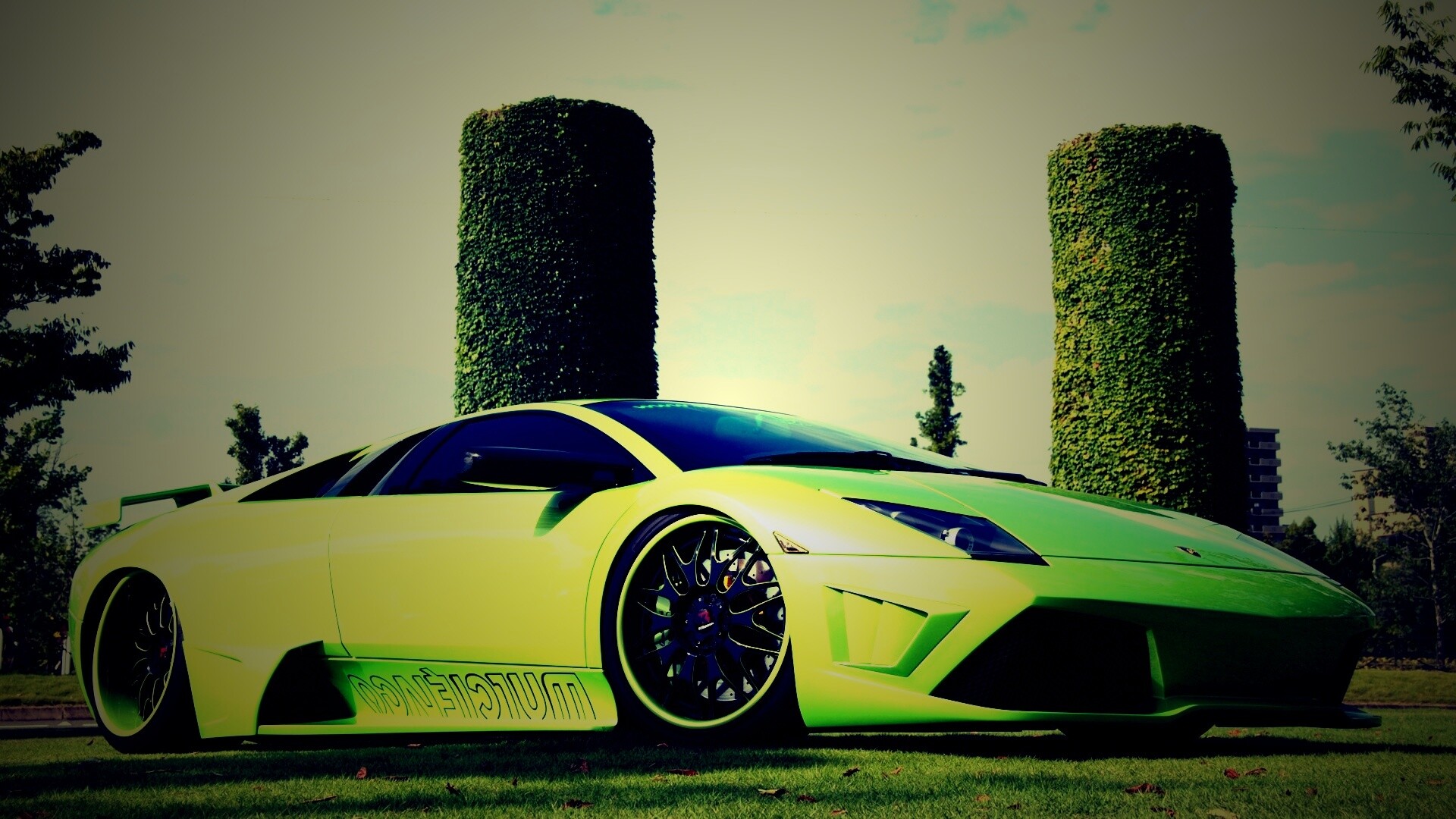 Зелёный Ламборджини на траве обои