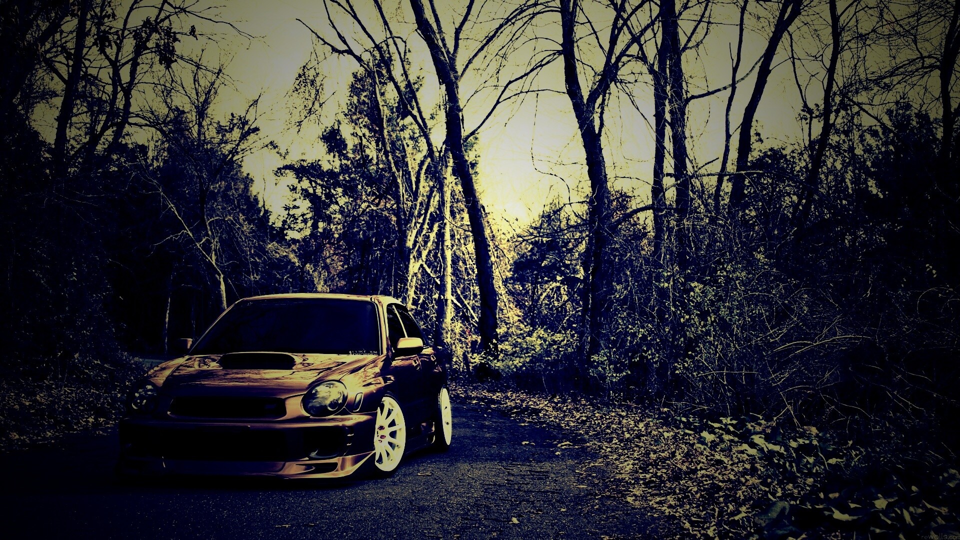 Субару Импреза на лесной дороге обои